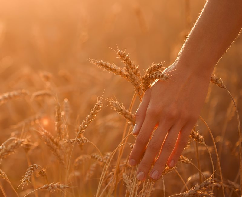 Psychodynamic therapy