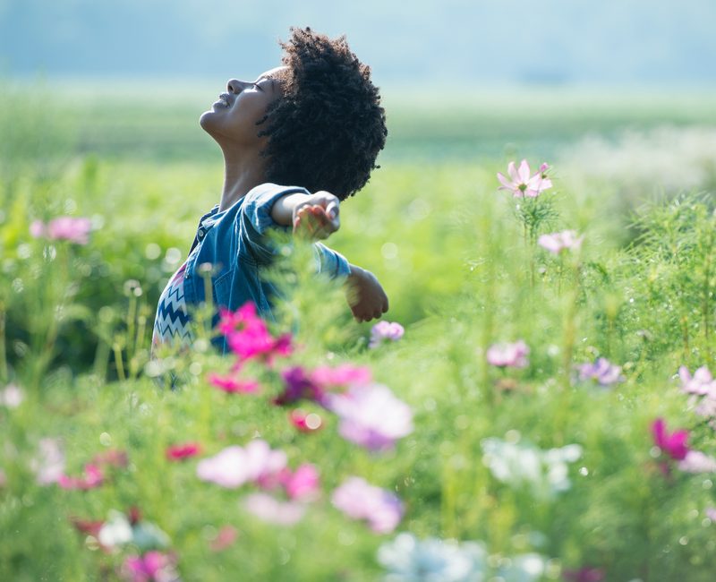 Trauma-informed care therapy