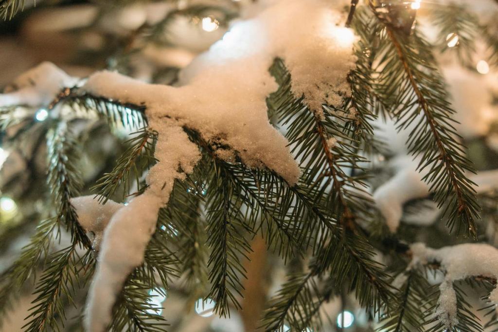 Feeling nostalgic this holiday season? It might help boost your mental health